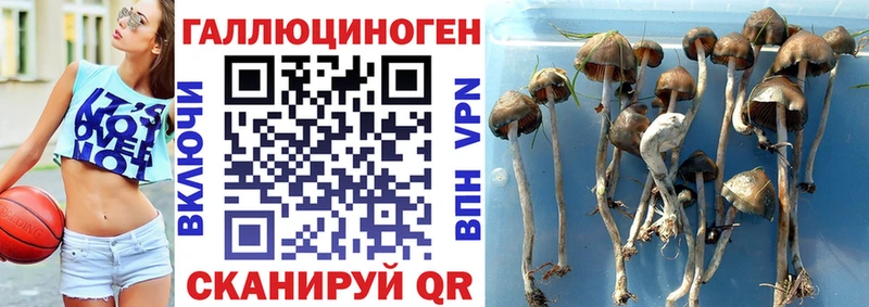 Псилоцибиновые грибы MAGIC MUSHROOMS  Иноземцево 